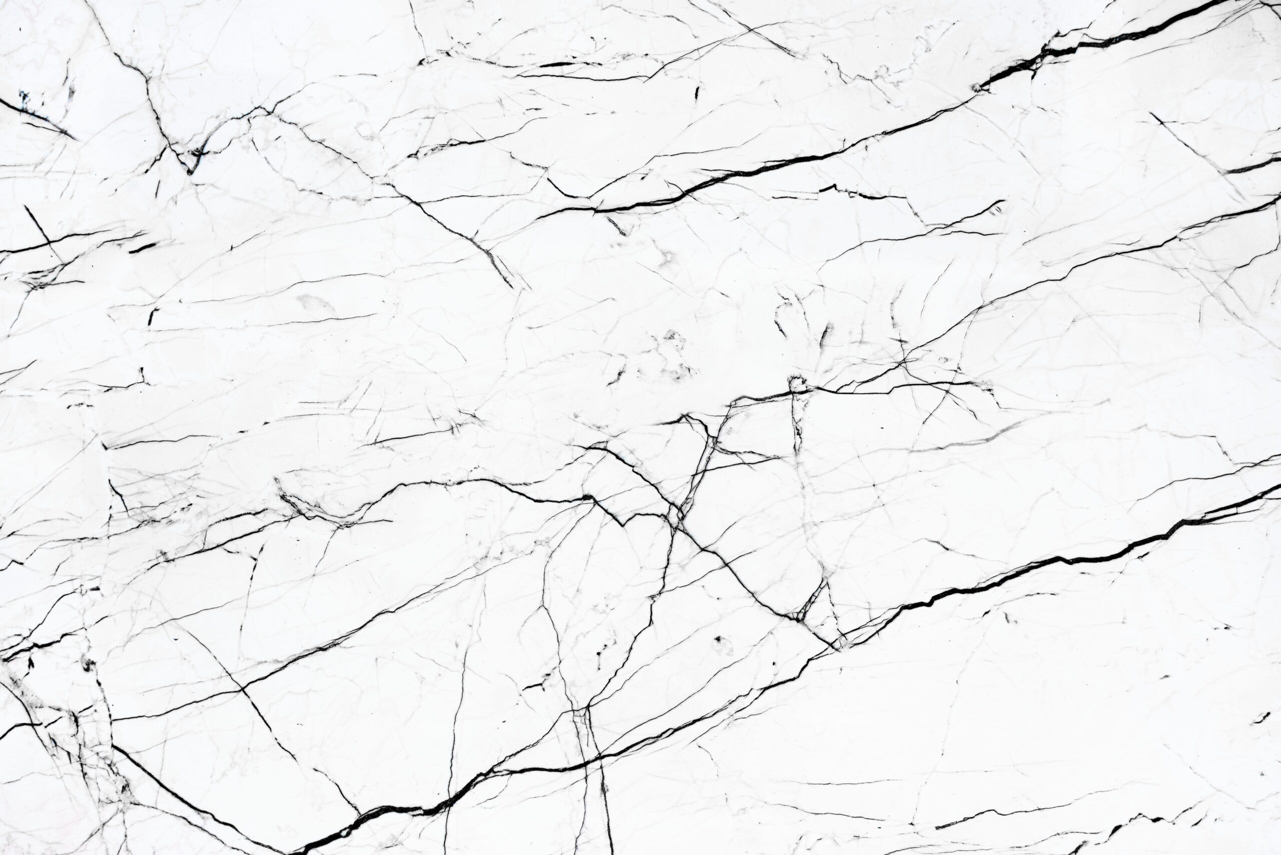 Bilgener | 25.01.2022/4
